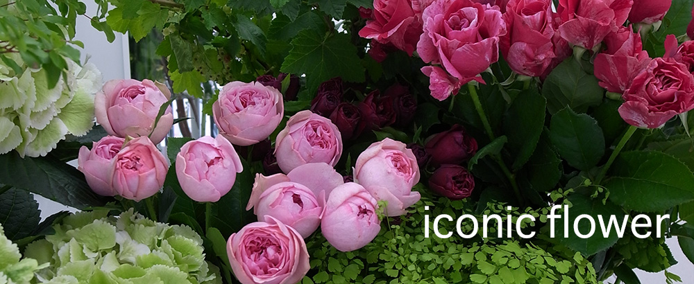 iconicflower